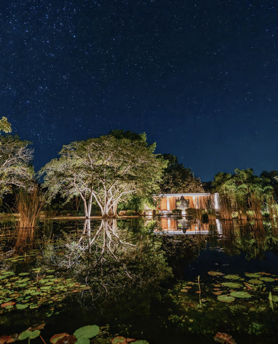 stargazing Night